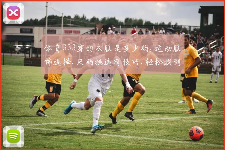 体育333穿的衣服是多少码,运动服饰选择,尺码挑选有技巧,轻松找到合身款